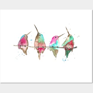 Hummingbirds on branch Posters and Art